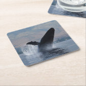 bultrug breekt kartonnen onderzetters (Schuin)