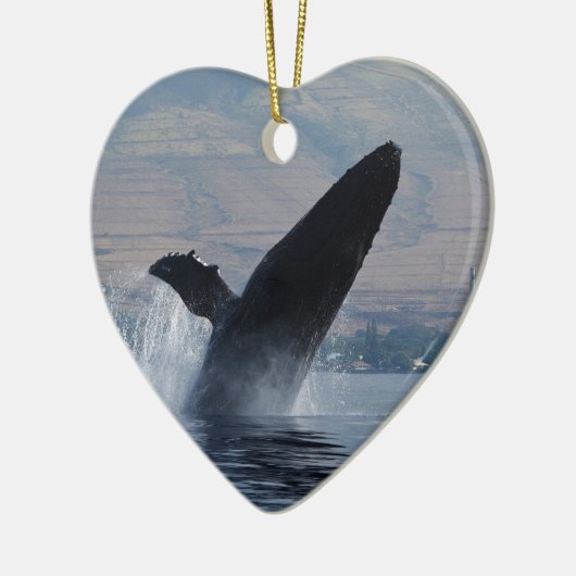 bultrug breekt keramisch ornament (Links)