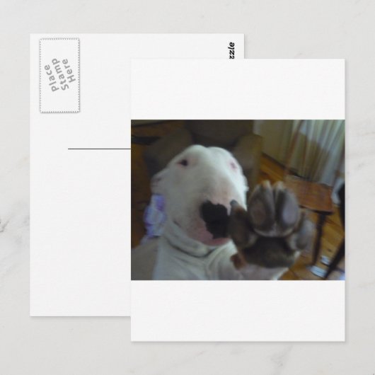 bultrug briefkaart (Voorkant / Achterkant)