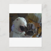 bultrug briefkaart (Voorkant)