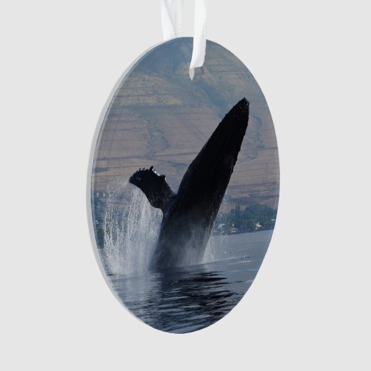 bultrug ornament (voorkant)