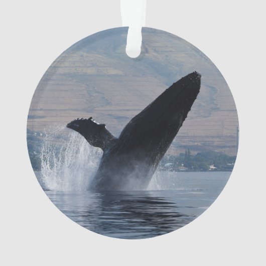 bultrug ornament (achterkant)