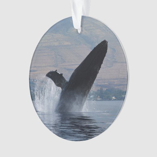 bultrug ornament (voorkant)