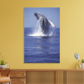 Bultrug springt uit het water (Megaptera Canvas Afdruk (Insitu (Woonkamer))