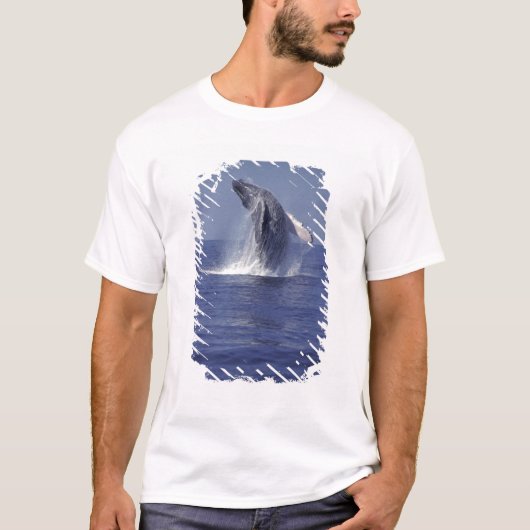 Bultrug springt uit het water (Megaptera T-shirt (Voorkant)