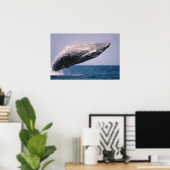Bultrug springt uit het water poster (Thuiskantoor)