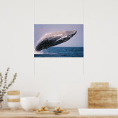 Bultrug springt uit het water poster (Keuken)