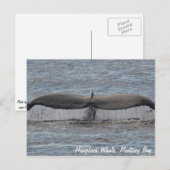 bultrug van walvisvlokken-Briefkaart Briefkaart (Voorkant / Achterkant)