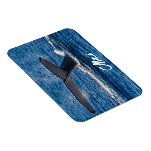 Bultrug walvis afbeelding op Maui Magneet (Rechterzijde)