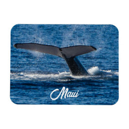Bultrug walvis afbeelding op Maui Magneet