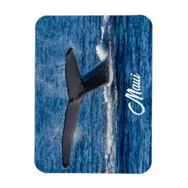 Bultrug walvis afbeelding op Maui Magneet