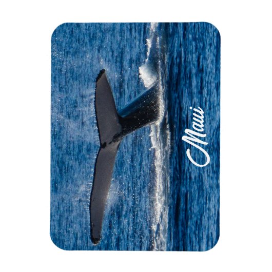 Bultrug walvis afbeelding op Maui Magneet (Verticaal)