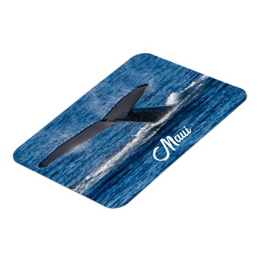 Bultrug walvis afbeelding op Maui Magneet (Linkerzijde)