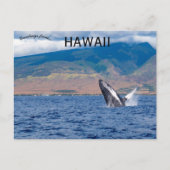 Bultrug walvis die Lahaina Hawaii breekt Briefkaart (Voorkant)