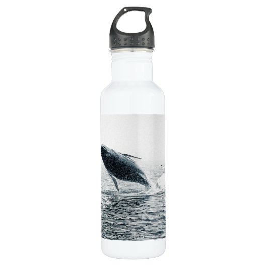 bultrug walvis kalf waterfles  (Voorkant)