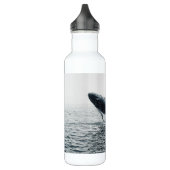 bultrug walvis kalf waterfles  (Links)