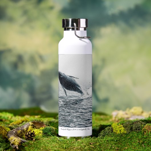 bultrug walvis kalf waterfles (Buiten)