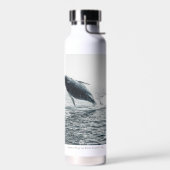 bultrug walvis kalf waterfles (Links)