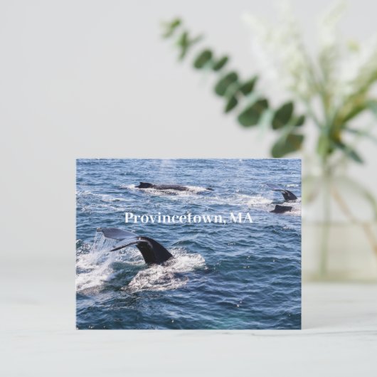 Bultrug walvis staart Briefkaart (Staand voorkant)