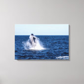 Bultrug walvis stretched canvas Print (Voorkant)