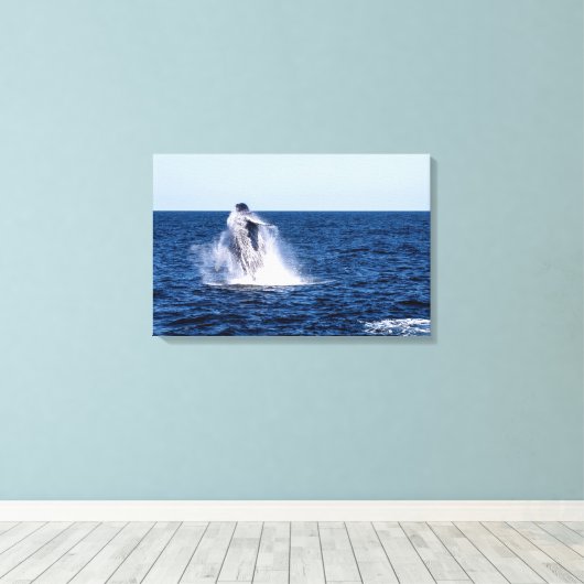 Bultrug walvis stretched canvas Print (Insitu (Houten vloer))