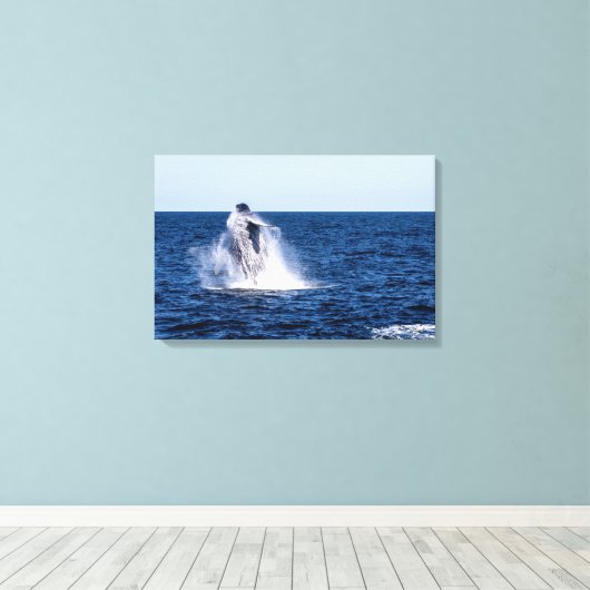 Bultrug walvis stretched canvas Print (Insitu (Houten vloer))