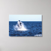 Bultrug walvis stretched canvas Print (Voorkant)