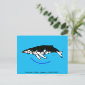 Bultrug walvis - Wilde dieren - Natuur - Briefkaart (Staand voorkant)