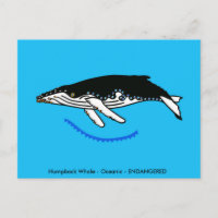 Bultrug walvis - Wilde dieren - Natuur -
