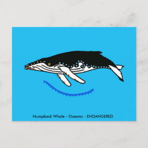 Bultrug walvis - Wilde dieren - Natuur - Briefkaart