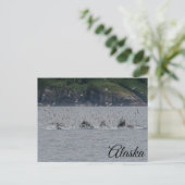 Bultrug walvissen Bubble Netting Alaska Briefkaart (Staand voorkant)