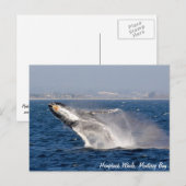 bultrug-walvissenbreuk-Briefkaart Briefkaart (Voorkant / Achterkant)