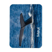 Bultrug walvisstaart flexibele magneet (Verticaal)