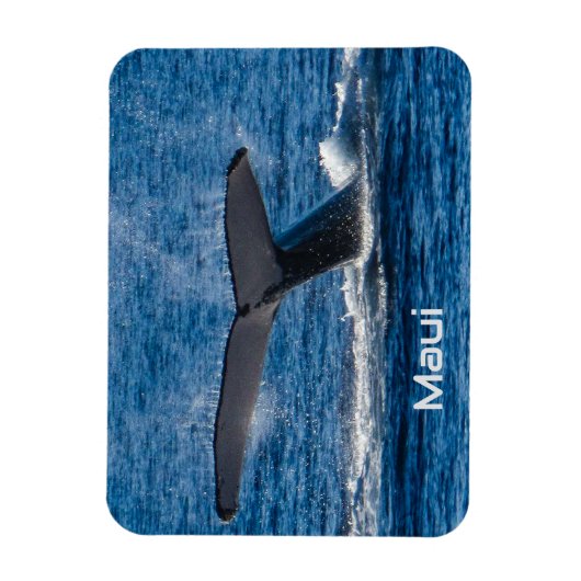 Bultrug walvisstaart flexibele magneet (Verticaal)