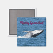 BULTRUG WALVISSTAART MACKAY QUEENSLAND AUSTRALIË MAGNEET (Voorkant / Achterkant)