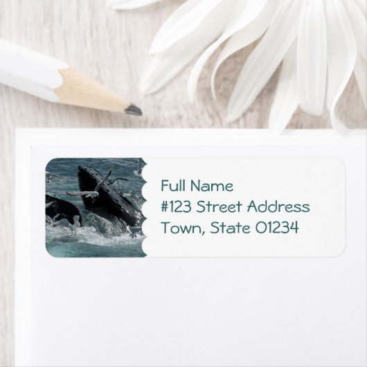 Bultrug Whale Mailing Label (Insitu)