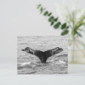 Bultrug Whale Tail Splash - Wildlife Fotografie Briefkaart (Staand voorkant)