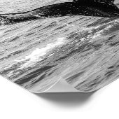 Bultrug Whale Tail Splash - Wildlife Fotografie Poster (Hoek)