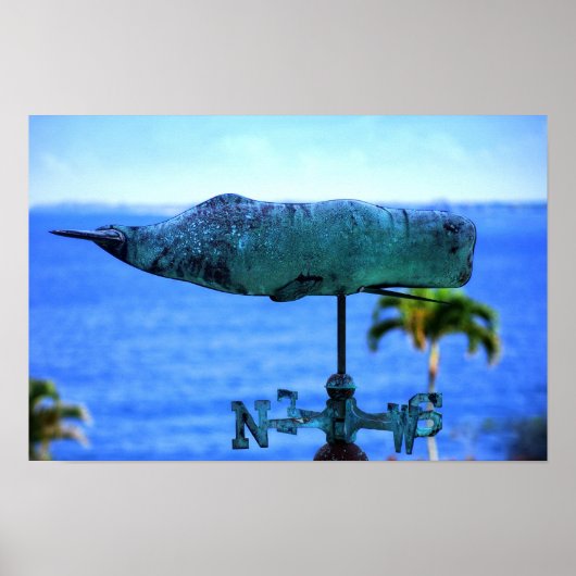 Bultrug windwijzer poster (Voorkant)