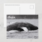 Bultrugbreuk zwart en wit briefkaart (Voorkant / Achterkant)