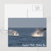 bultruggen doorbreken Briefkaart (Voorkant / Achterkant)