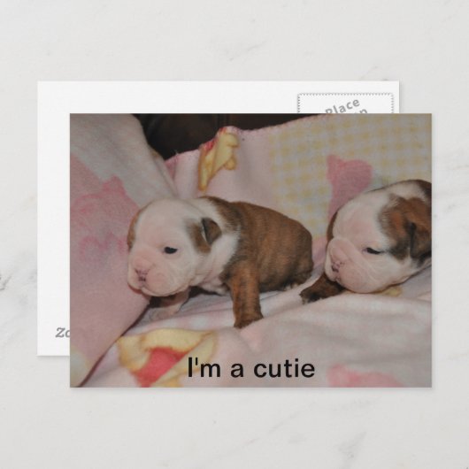 bultrugjongen briefkaart (Voorkant / Achterkant)