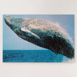 Bultrugwalvis Alaska Legpuzzel