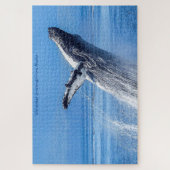 Bultrugwalvis Alaska Legpuzzel (Verticaal)