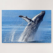 Bultrugwalvis Alaska Legpuzzel (Horizontaal)