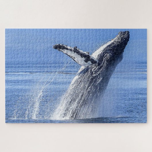 Bultrugwalvis Alaska Legpuzzel (Horizontaal)