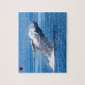 Bultrugwalvis Alaska Legpuzzel (Verticaal)