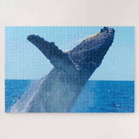 Bultrugwalvis Alaska Legpuzzel (Horizontaal)