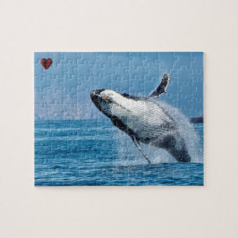 Bultrugwalvis Alaska Legpuzzel