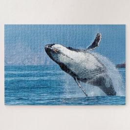 Bultrugwalvis Alaska Legpuzzel